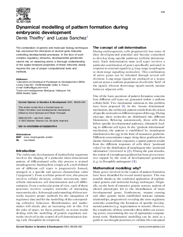 (PDF) Dynamical modelling of pattern formation during embryonic development