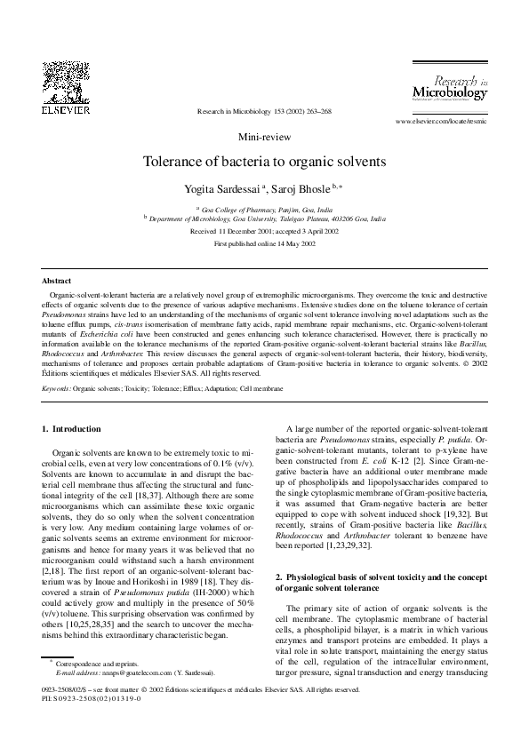 Essays saroj soans 07 image