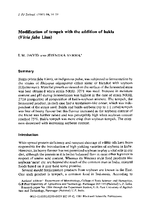 Tempeh what is it picture