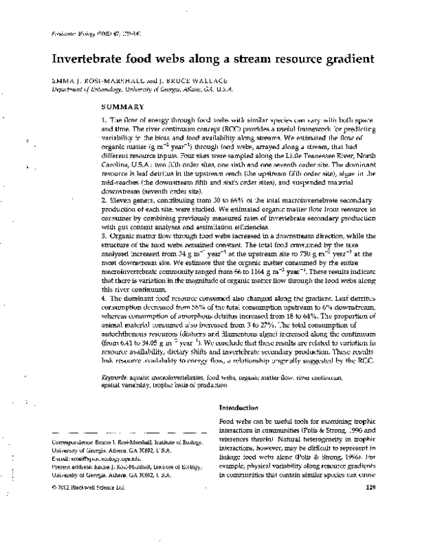 Food chain for class 3 image