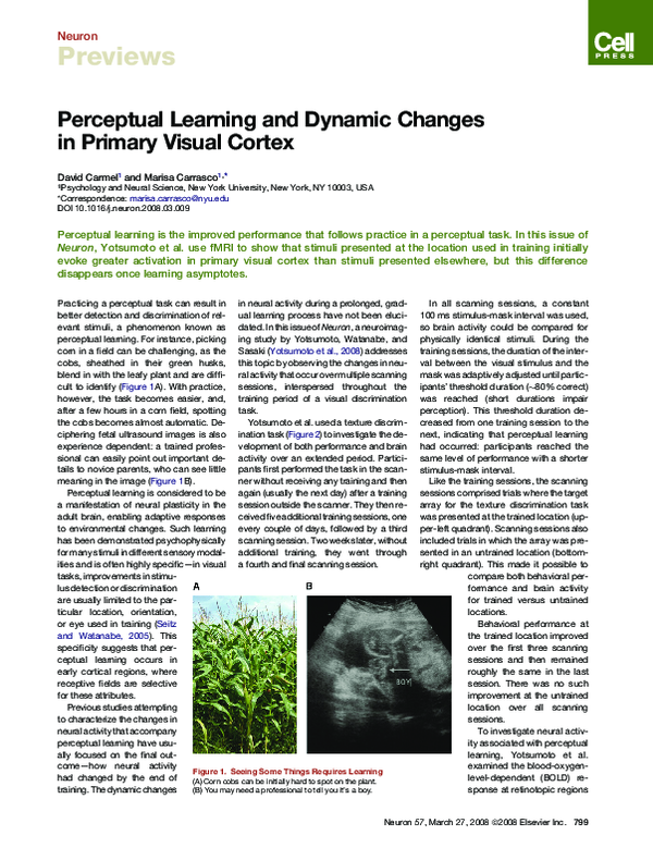 (PDF) Perceptual learning and dynamic changes in primary visual cortex
