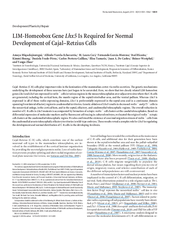 Lim college majors picture