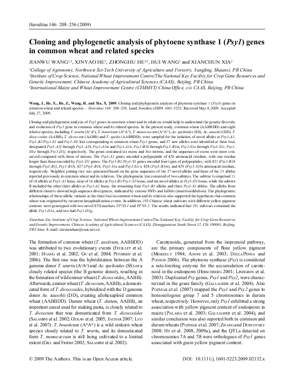 (PDF) Cloning and phylogenetic analysis of phytoene synthase 1 ( Psy1 ...