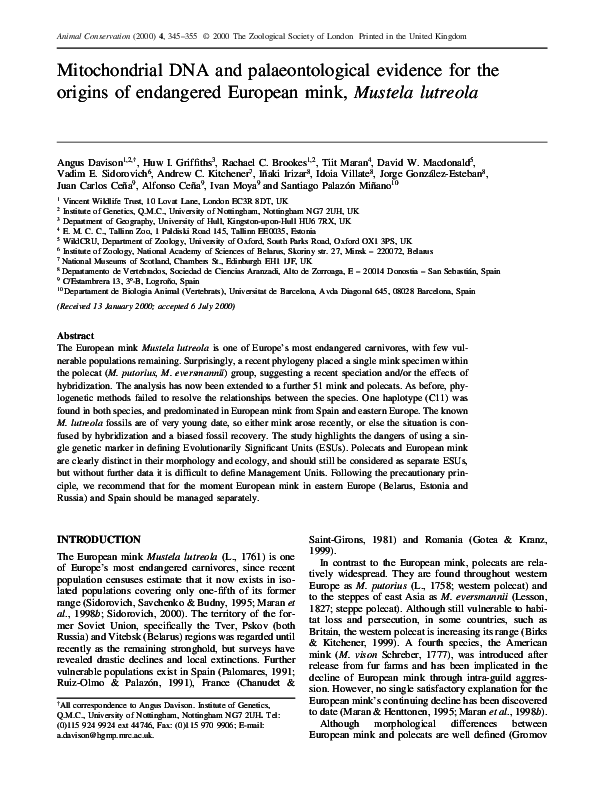 (PDF) Mitochondrial DNA and palaeontological evidence for the origins ...