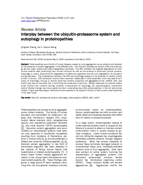 (PDF) Interplay between the ubiquitin-proteasome system and autophagy ...