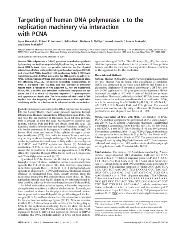 (PDF) Targeting of human DNA polymerase to the replication machinery ...