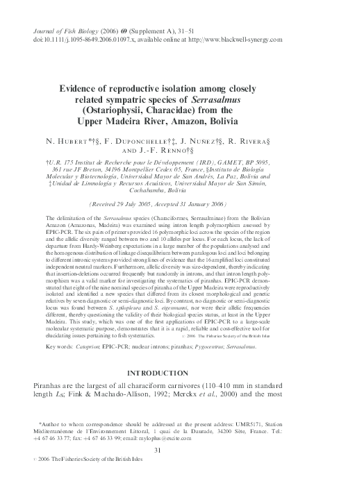 Serrusalmus essay 06 image