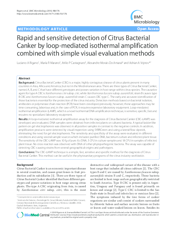 (PDF) Rapid and sensitive detection of Citrus Bacterial Canker by loop ...