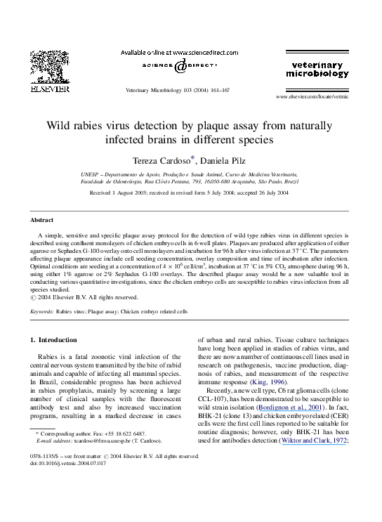 Rabies a virus or bacteria picture
