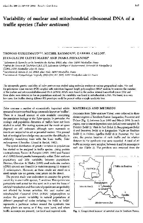What is the important difference between ascospores and conidia? image