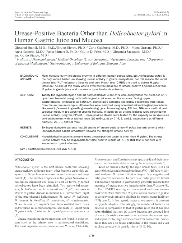 Urease essay 2 04 image