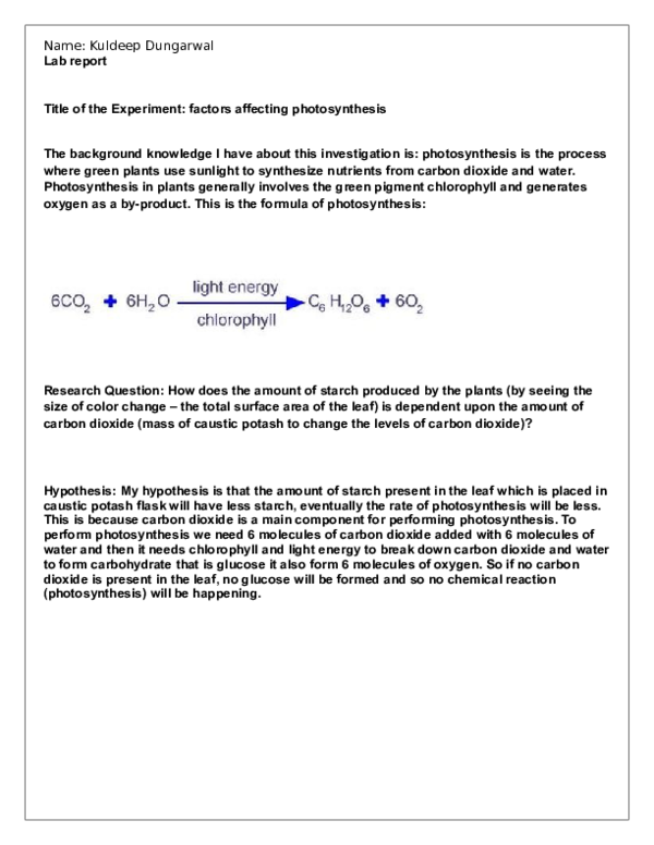 (DOC) Factors Affecting Photosynthesis
