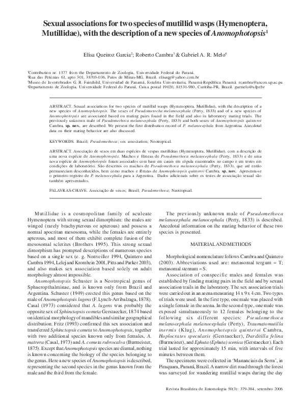 379 Sexual associations for two species of mutillid wasps