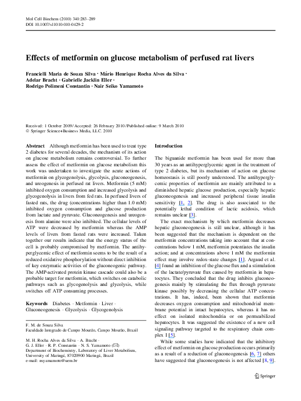 (PDF) Effects of metformin on glucose metabolism of perfused rat livers