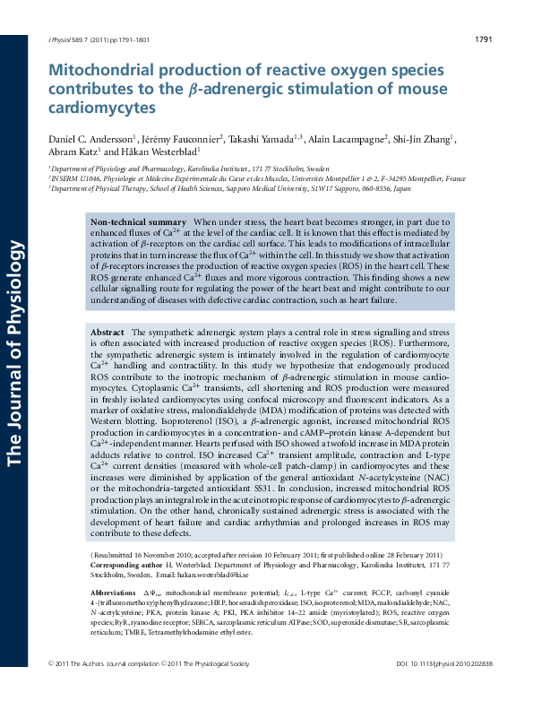 (PDF) Mitochondrial production of reactive oxygen species: Role of ...