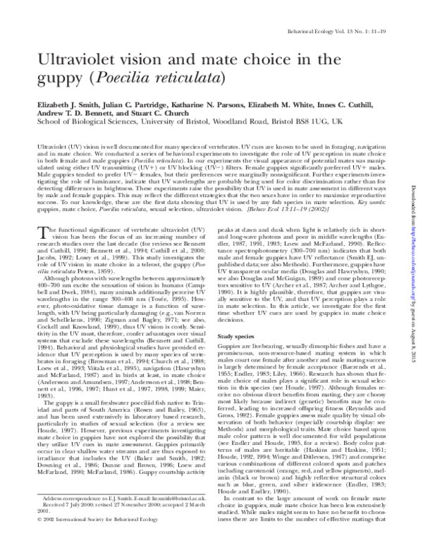 Thesis mate meaning picture