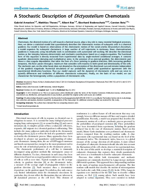 (PDF) A Stochastic Description of Dictyostelium Chemotaxis