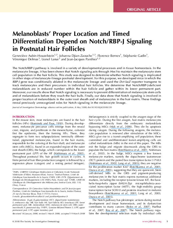 (PDF) Melanoblasts' Proper Location and Timed Differentiation Depend on ...