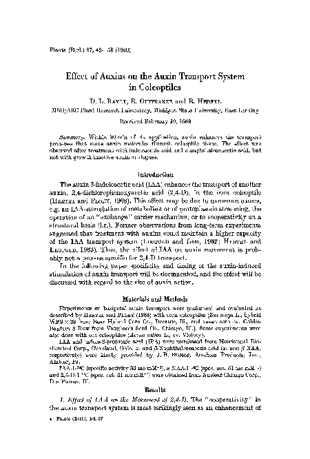 (PDF) Effect of auxins on the auxin transport system in coleoptiles