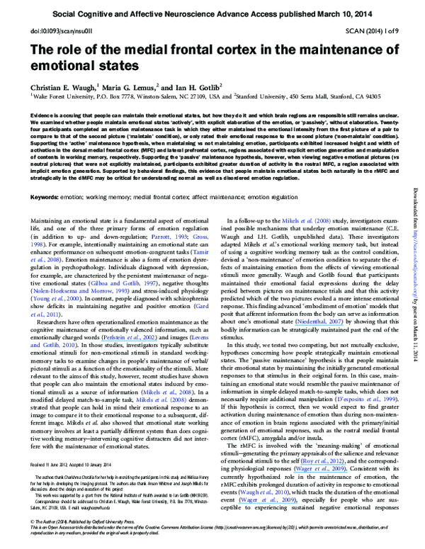 (PDF) The role of the medial frontal cortex in the maintenance of ...
