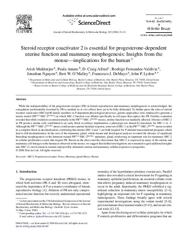 Steroids essay 2 04 picture