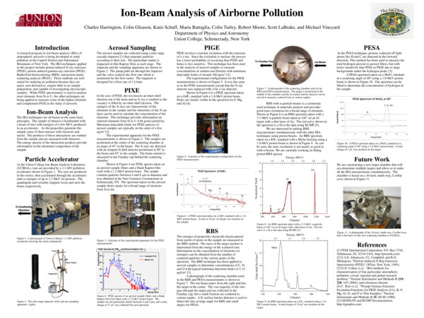 An analysis of rbs skaals essay sample essay image
