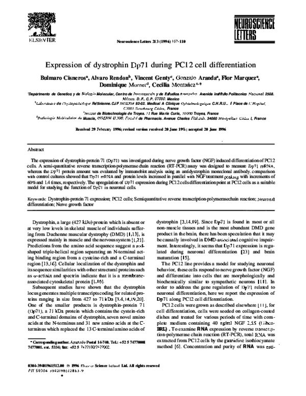 (PDF) Expression of dystrophin Dp71 during PC12 cell differentiation