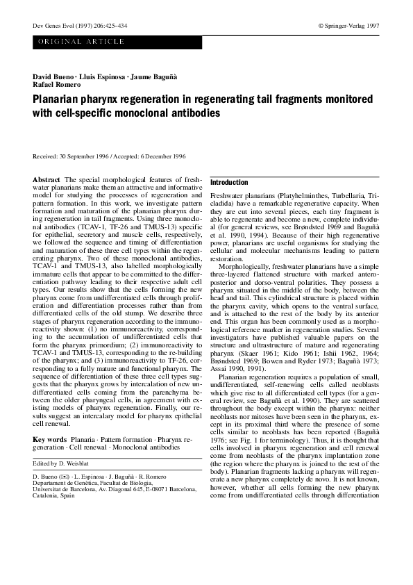 Planaria experiments picture