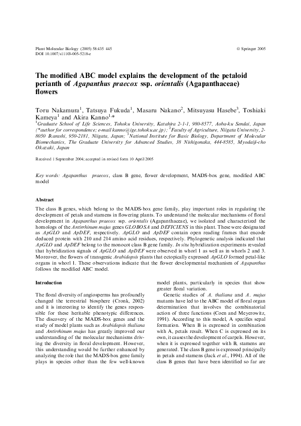 (PDF) The modified ABC model explains the development of the petaloid ...