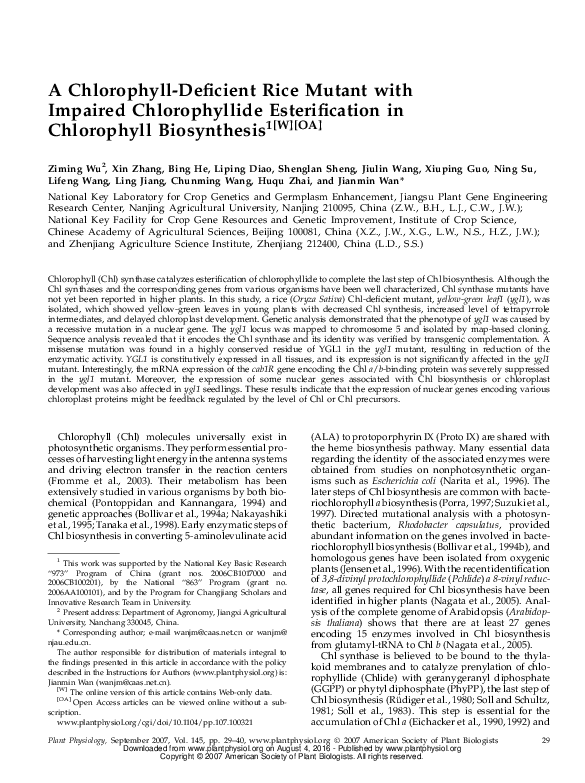 (PDF) A Chlorophyll-Deficient Rice Mutant with Impaired Chlorophyllide ...