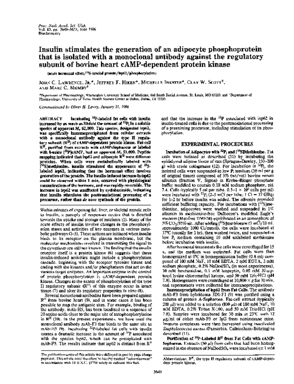 (PDF) Insulin Stimulates the Generation of an Adipocyte Phosphoprotein ...