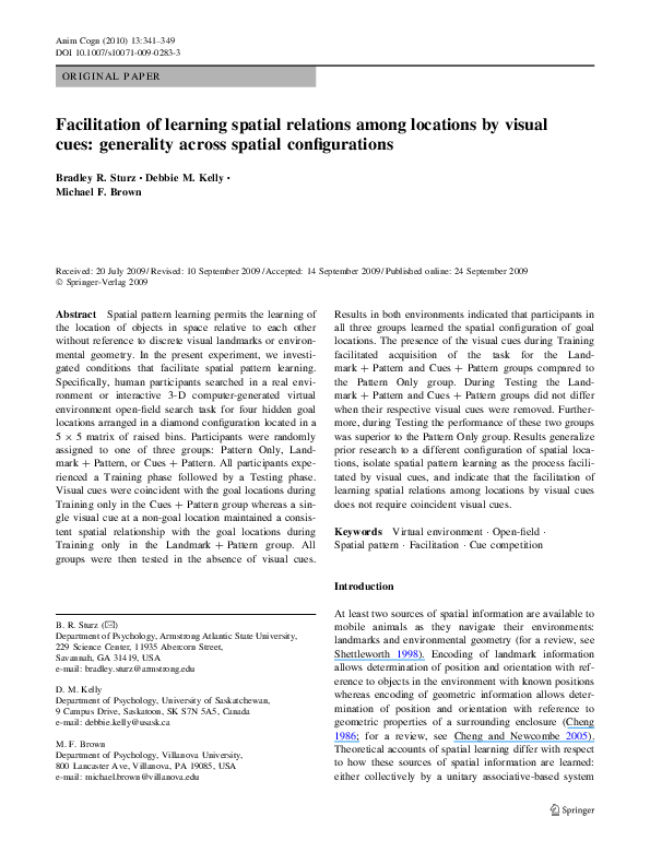 Visual cues essay 02 image