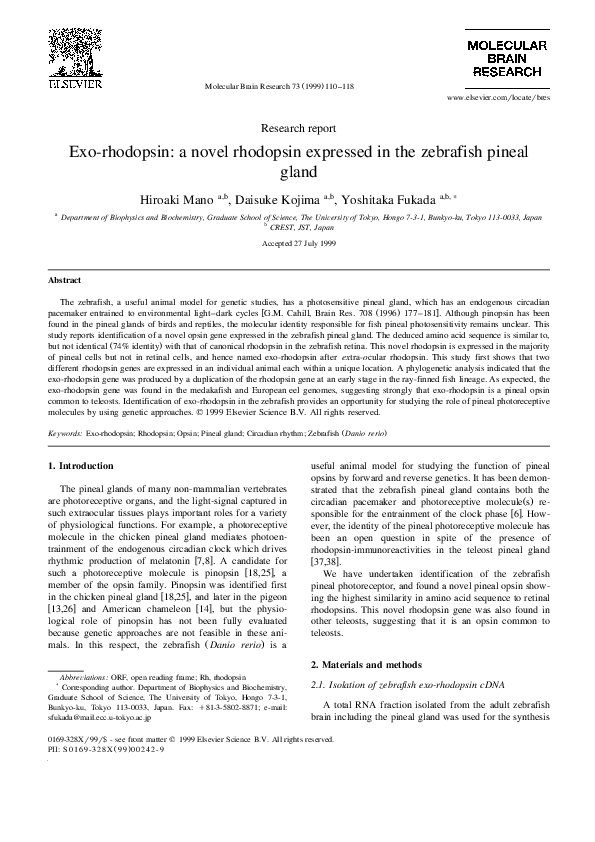 (PDF) Exo-rhodopsin: a novel rhodopsin expressed in the zebrafish ...