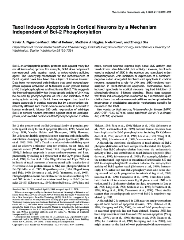 (PDF) Taxol Induces Apoptosis in Cortical Neurons by a Mechanism ...