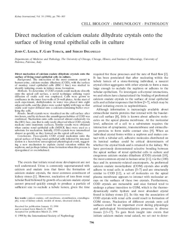 (PDF) Direct nucleation of calcium oxalate dihydrate crystals onto the ...