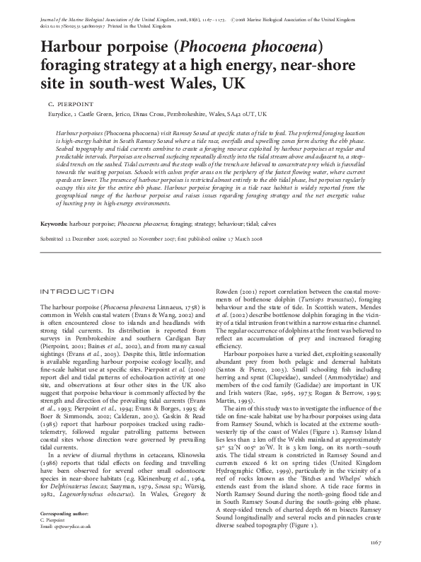 (PDF) Harbour porpoise ( Phocoena phocoena) foraging strategy at a high ...