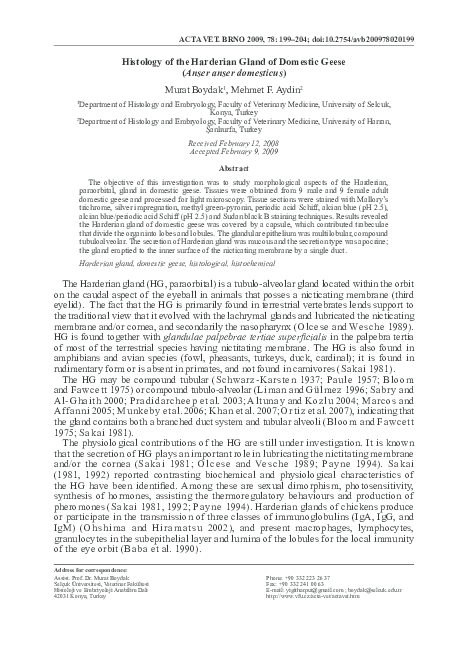 (PDF) Histology of the Harderian Gland of Domestic Geese (Anser anser ...