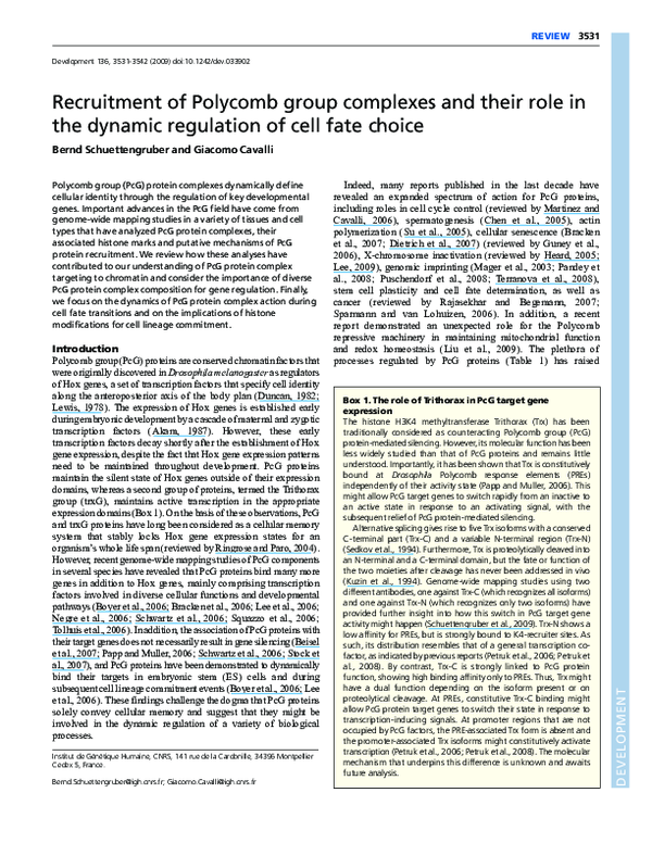 (PDF) Recruitment of Polycomb group complexes and their role in the ...