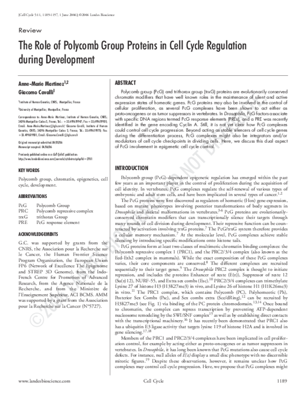 (PDF) The role of Polycomb Group Proteins in Cell Cycle Regulation ...