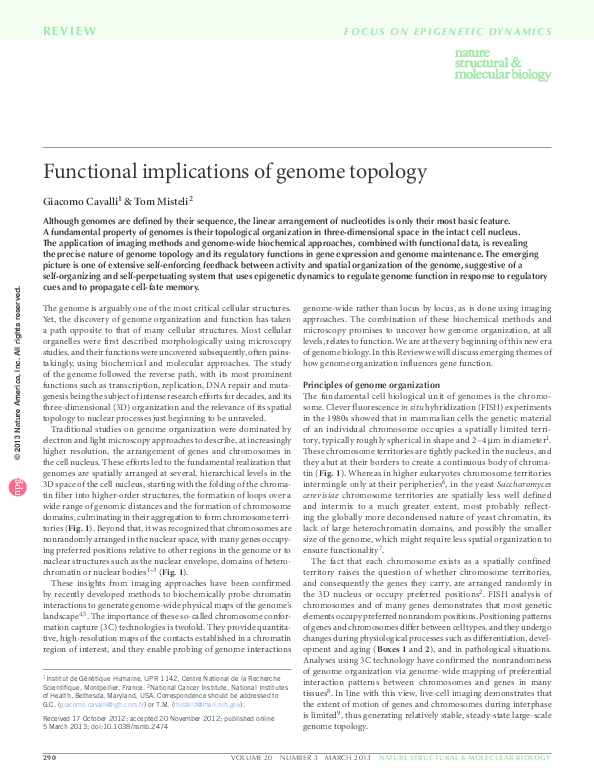 (PDF) Dynamic genome architecture in the nuclear space: regulation of ...