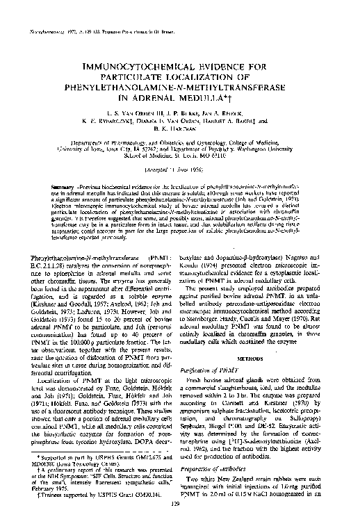 (PDF) Immunocytochemical evidence for particulate localization of ...