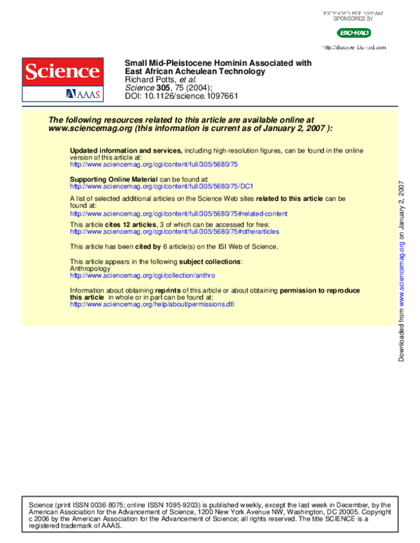 Acheulean technology essay 06 image