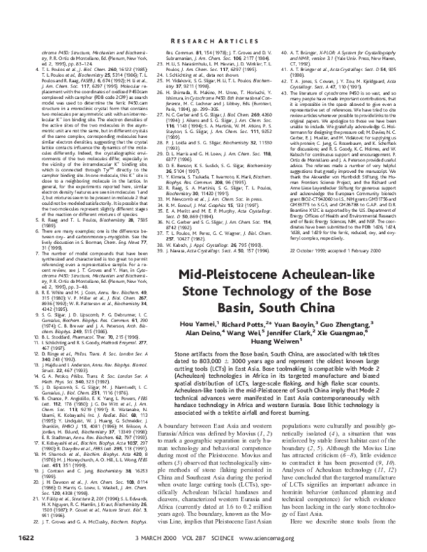 Acheulean technology essay 04 image