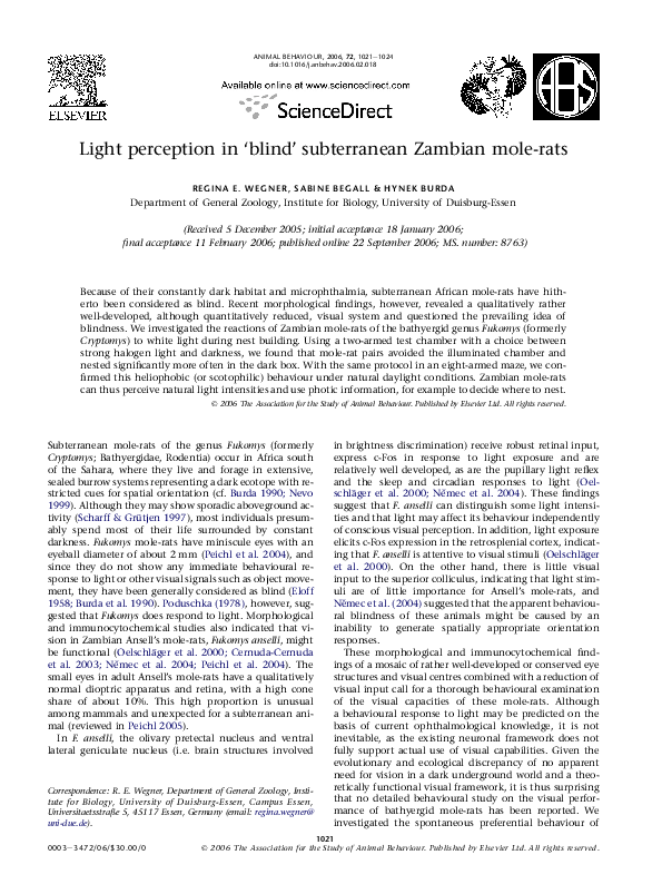 (PDF) Light perception in ‘blind’ subterranean Zambian mole-rats