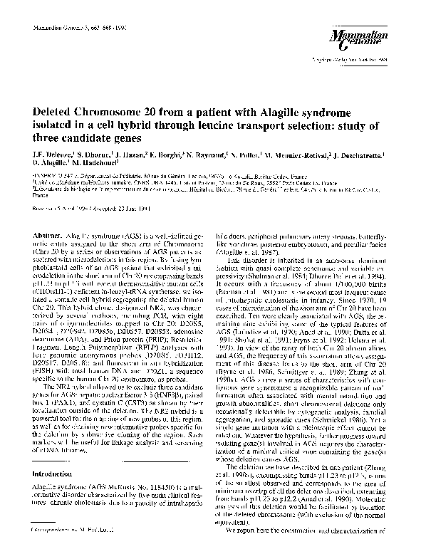Dna essay example image