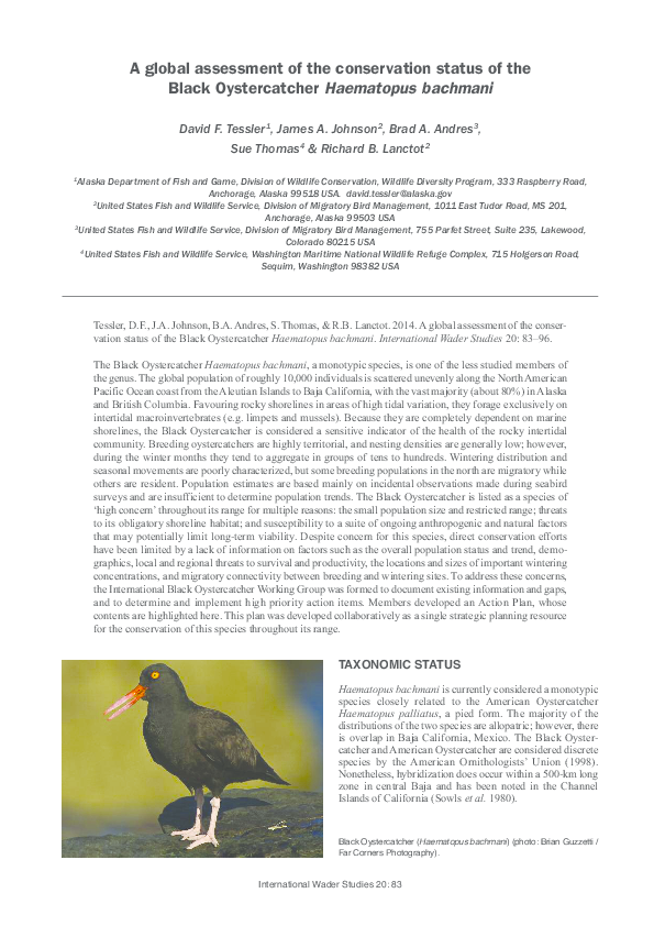 Black oystercatchers eye difference picture