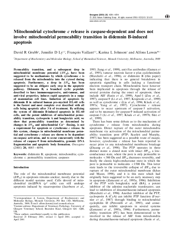 (PDF) Mitochondrial cytochrome c release is caspase-dependent and does ...