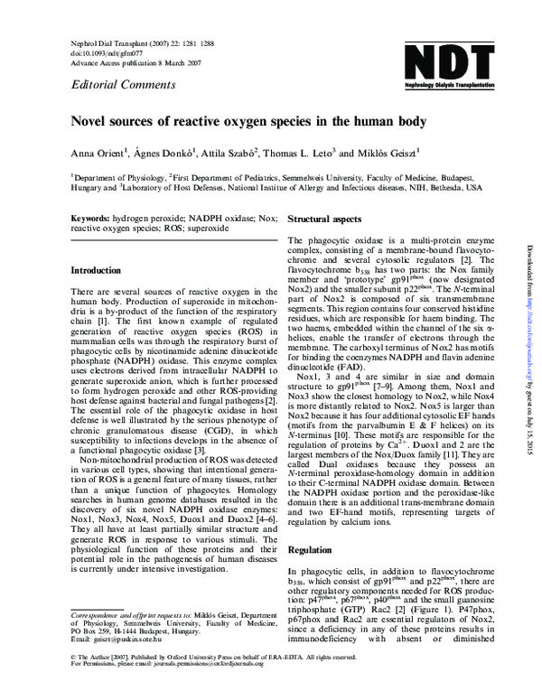 (PDF) Novel sources of reactive oxygen species in the human body