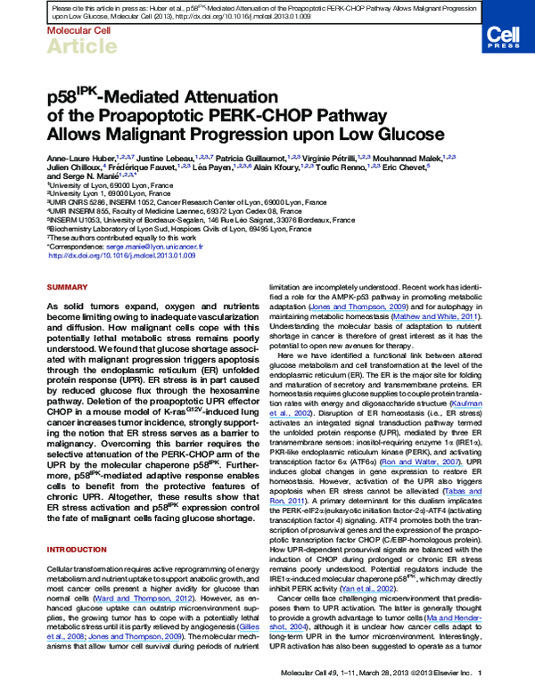 (PDF) p58IPK-Mediated Attenuation of the Proapoptotic PERK-CHOP Pathway ...