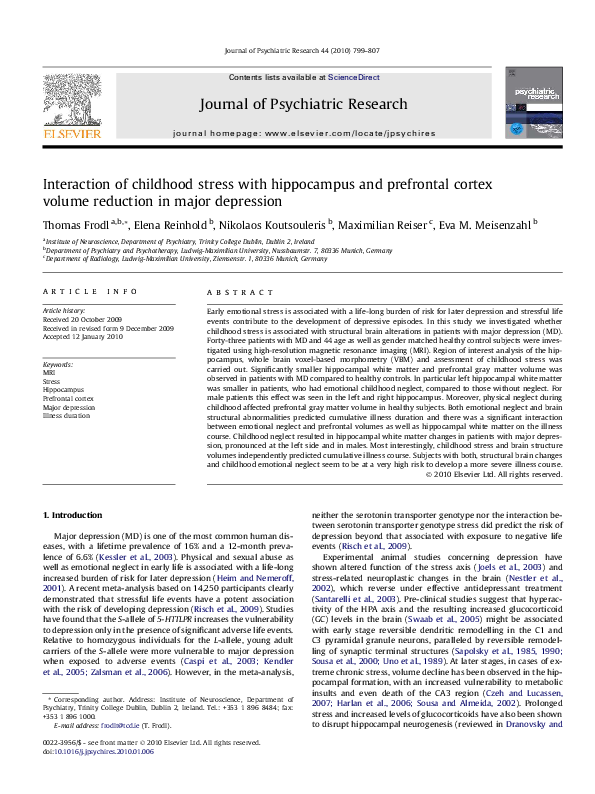 Hippocampus research papers picture